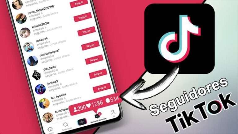 Seguidores Tik Tok